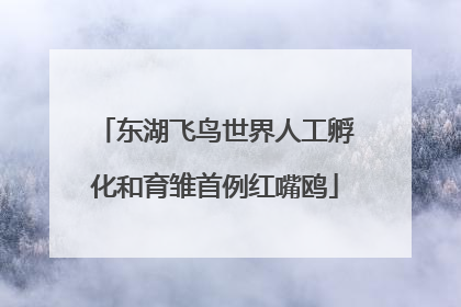 东湖飞鸟世界人工孵化和育雏首例红嘴鸥