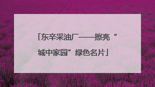 东辛采油厂——擦亮“城中家园”绿色名片