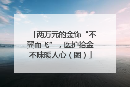 两万元的金饰“不翼而飞”，医护拾金不昧暖人心（图）