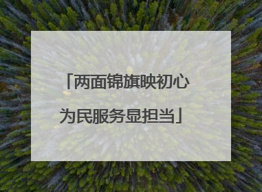 两面锦旗映初心 为民服务显担当