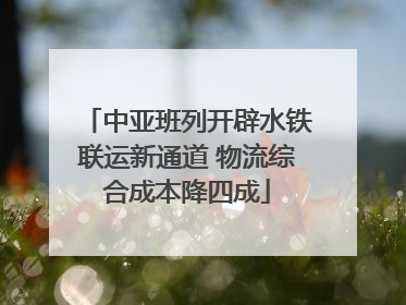 中亚班列开辟水铁联运新通道 物流综合成本降四成