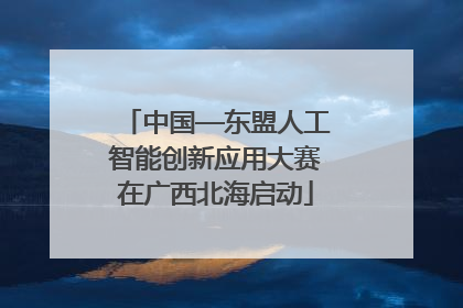 中国—东盟人工智能创新应用大赛在广西北海启动