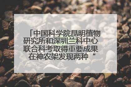 中国科学院昆明植物研究所和深圳兰科中心联合科考取得重要成果 在神农架发现两种“国保”级兰花