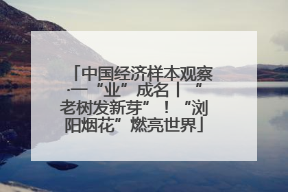 中国经济样本观察·一“业”成名丨“老树发新芽”！“浏阳烟花”燃亮世界