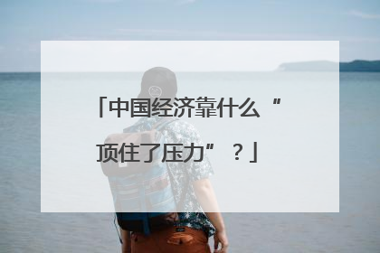 中国经济靠什么“顶住了压力”？