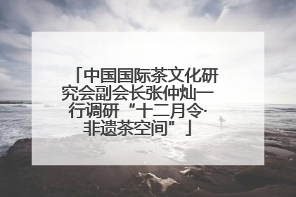 中国国际茶文化研究会副会长张仲灿一行调研“十二月令·非遗茶空间”