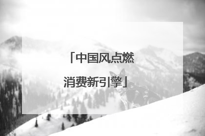中国风点燃消费新引擎