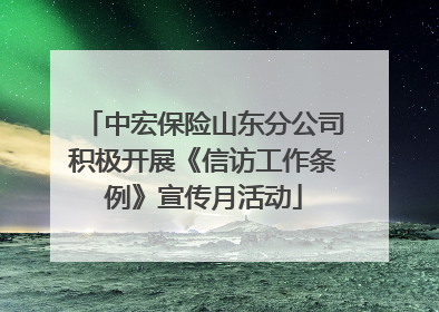 中宏保险山东分公司积极开展《信访工作条例》宣传月活动