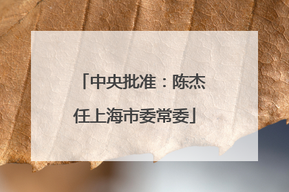中央批准：陈杰任上海市委常委