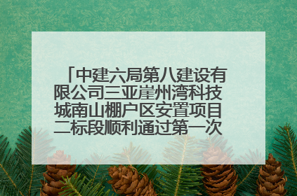 中建六局第八建设有限公司三亚崖州湾科技城南山棚户区安置项目二标段顺利通过第一次主体结构验收