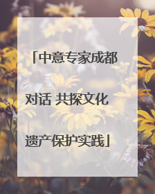 中意专家成都对话 共探文化遗产保护实践