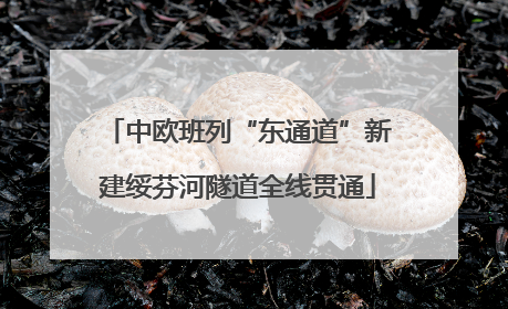 中欧班列“东通道”新建绥芬河隧道全线贯通