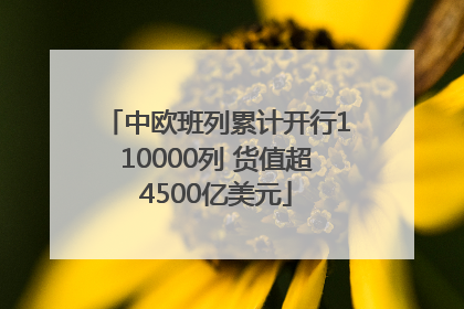中欧班列累计开行110000列 货值超4500亿美元