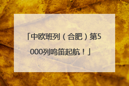 中欧班列（合肥）第5000列鸣笛起航！