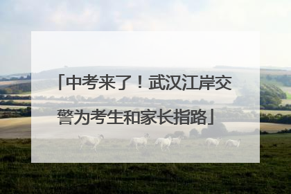 中考来了！武汉江岸交警为考生和家长指路
