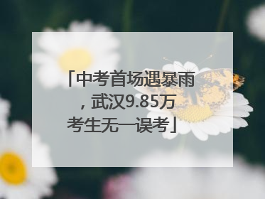 中考首场遇暴雨，武汉9.85万考生无一误考