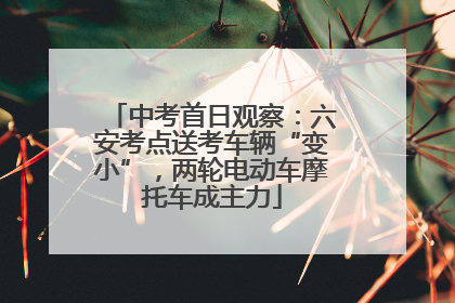 中考首日观察：六安考点送考车辆“变小”，两轮电动车摩托车成主力