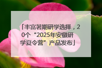 丰富暑期研学选择，20个“2025年安徽研学夏令营”产品发布