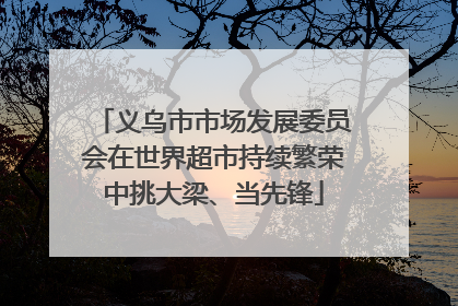 义乌市市场发展委员会在世界超市持续繁荣中挑大梁、当先锋