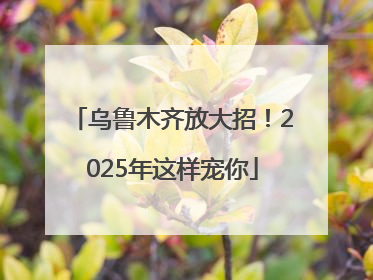 乌鲁木齐放大招！2025年这样宠你