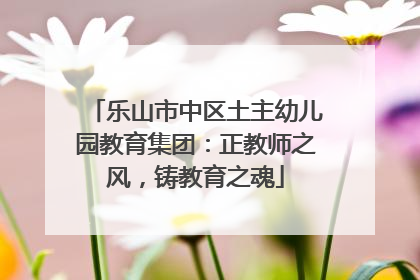 乐山市中区土主幼儿园教育集团：正教师之风，铸教育之魂