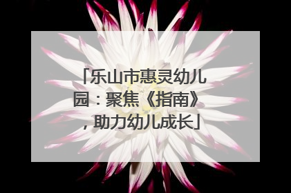 乐山市惠灵幼儿园：聚焦《指南》，助力幼儿成长