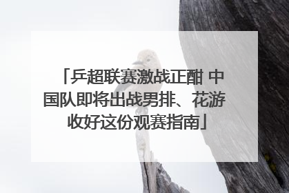 乒超联赛激战正酣 中国队即将出战男排、花游 收好这份观赛指南