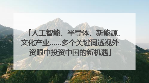 人工智能、半导体、新能源、文化产业……多个关键词透视外资眼中投资中国的新机遇