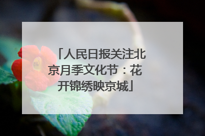 人民日报关注北京月季文化节：花开锦绣映京城