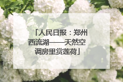 人民日报：郑州西流湖——天然空调房里赏莲荷