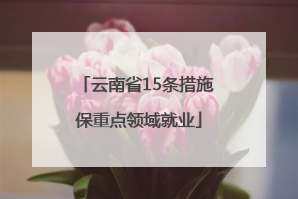 云南省15条措施保重点领域就业
