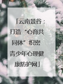 云南景谷：打造“心育共同体”织密 青少年心理健康防护网