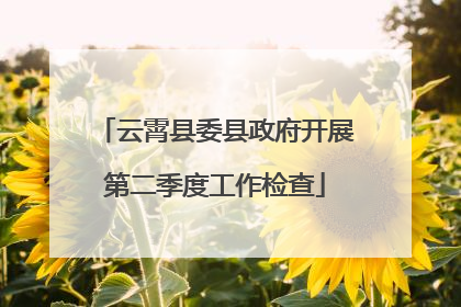 云霄县委县政府开展第二季度工作检查