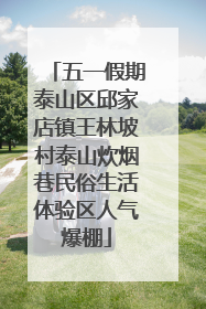五一假期泰山区邱家店镇王林坡村泰山炊烟巷民俗生活体验区人气爆棚