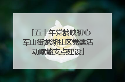 五十年党龄映初心 军山街龙湖社区党建活动赋能支点建设