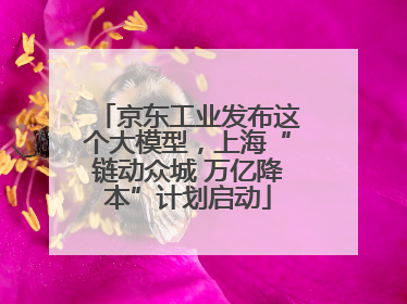 京东工业发布这个大模型，上海“链动众城 万亿降本”计划启动