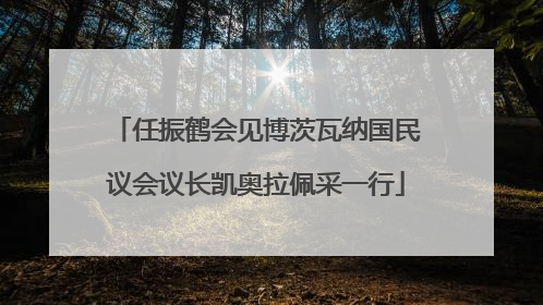 任振鹤会见博茨瓦纳国民议会议长凯奥拉佩采一行