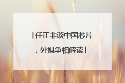 任正非谈中国芯片，外媒争相解读