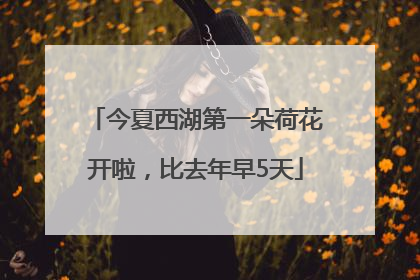 今夏西湖第一朵荷花开啦，比去年早5天