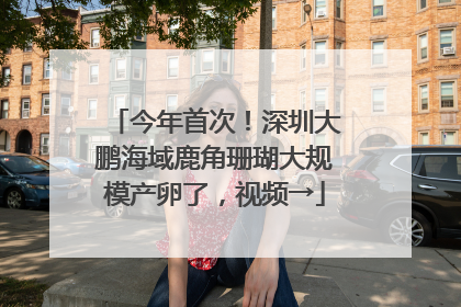 今年首次！深圳大鹏海域鹿角珊瑚大规模产卵了，视频→