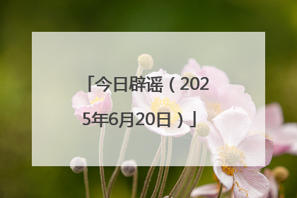 今日辟谣（2025年6月20日）
