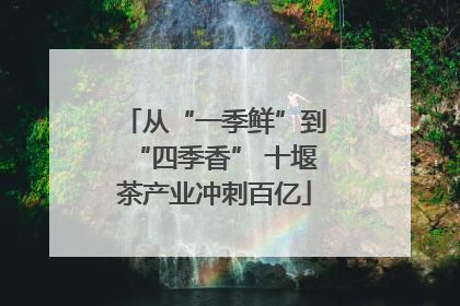 从“一季鲜”到“四季香” 十堰茶产业冲刺百亿