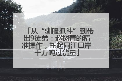 从“驯服抓斗”到带出9徒弟：赵树青的精准操作，托起同江口岸千万吨过货量