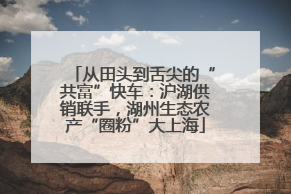 从田头到舌尖的“共富”快车：沪湖供销联手，湖州生态农产“圈粉”大上海