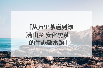 从万里茶道到绿满山乡 安化黑茶的生态致富路