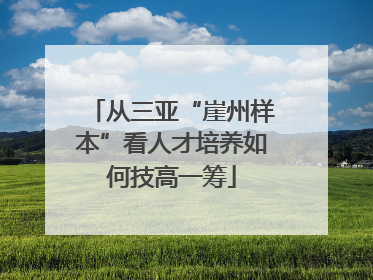 从三亚“崖州样本”看人才培养如何技高一筹