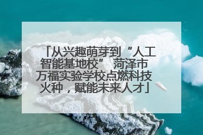 从兴趣萌芽到“人工智能基地校” 菏泽市万福实验学校点燃科技火种，赋能未来人才