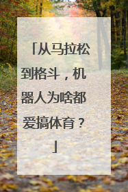 从马拉松到格斗，机器人为啥都爱搞体育？
