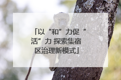 以“和”力促“活”力 探索集宿区治理新模式