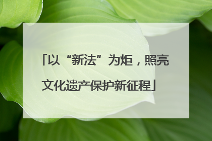 以“新法”为炬，照亮文化遗产保护新征程